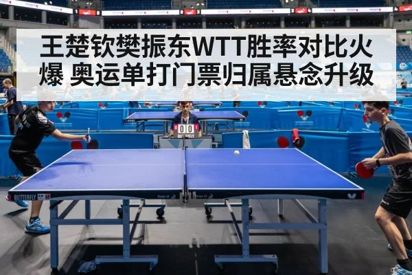 王楚钦樊振东WTT胜率对比火爆 奥运单打门票归属悬念升级